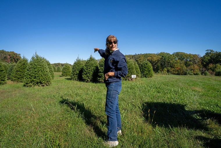 Lisa Gaver points out the intended route of the power lines across her property.