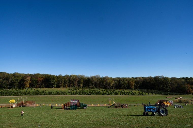 Proposed power lines would run above the treeline along the length of Lisa Gaver's farm property and would be visible from any point on the farm. 