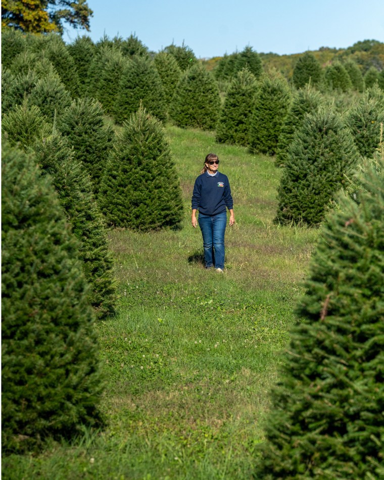 Lisa Gaver walks along part of the proposed route for the power lines if they cross her land. 
