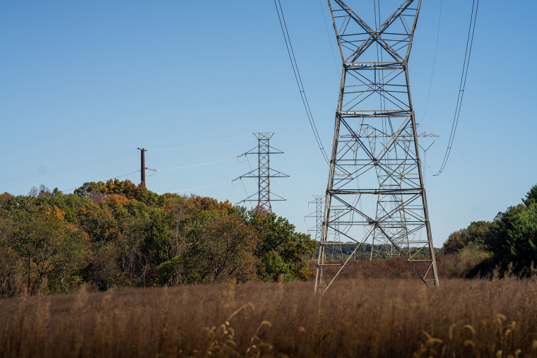Power lines are already adjacent to Brandon and Marie Hill's farmland in Parkland, Md.