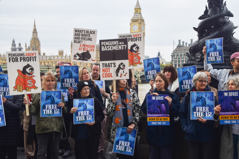 Protesters hold placards demanding that Sea Life frees the
