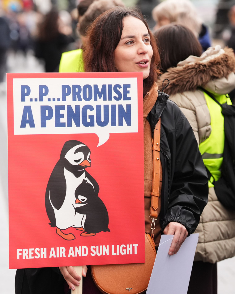 Libre la manifestación de los Quince