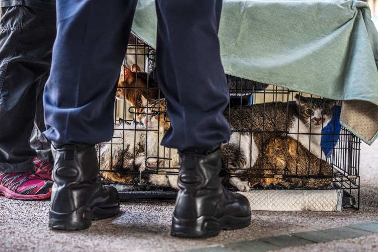 Aftermath of Hong Kong's Worst Fire in Decades Kills 44, Hundreds Missing