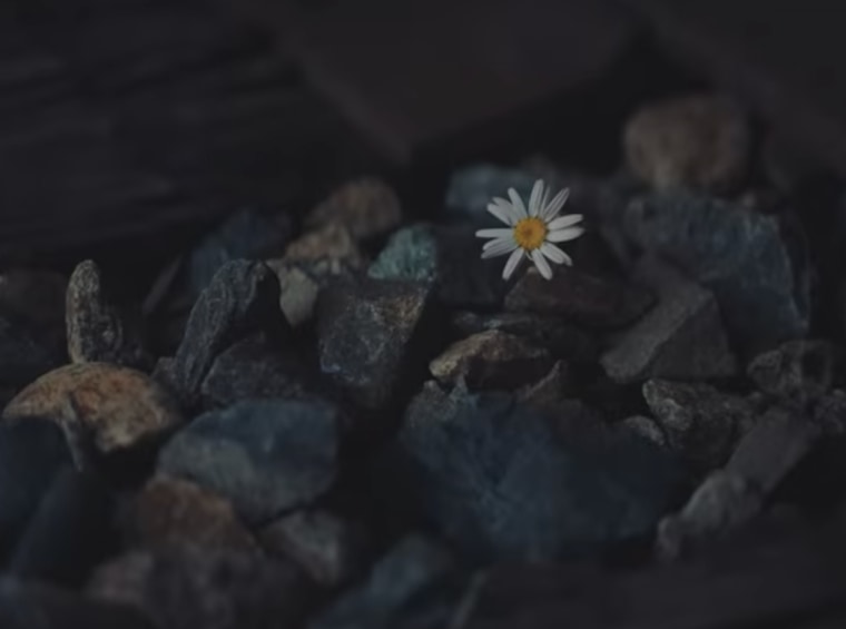 Bunga aster, yang merupakan nama putri Katy Perry dan Orlando Bloom, muncul di "bandaid" video musik.