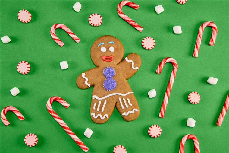 Universal Orlando's Gingy Cookie.