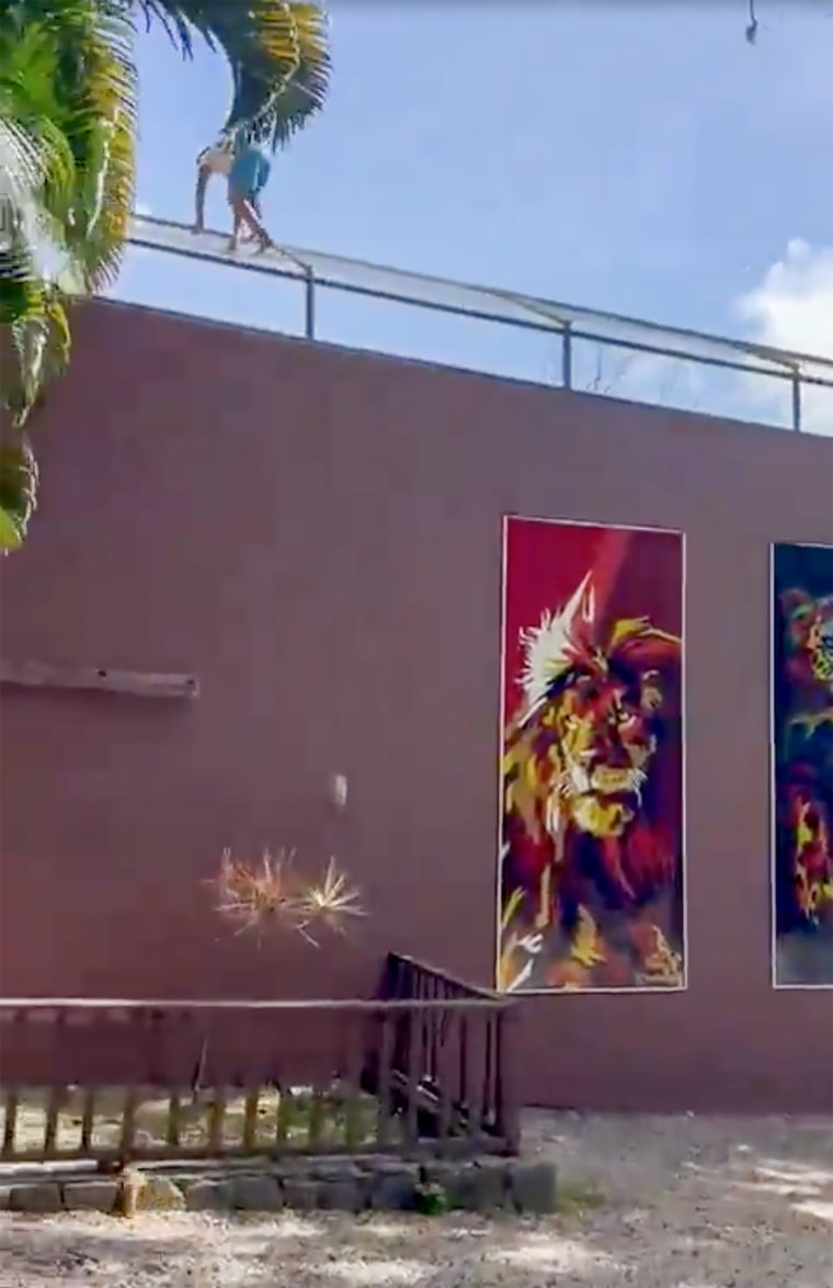 A screen grab from X shows the teen scaling the wall to climb into the lion enclosure.