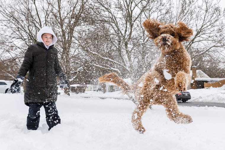 Harper Martinez, 13, watches as her 4-year-old dog, Coco, jumps through snow