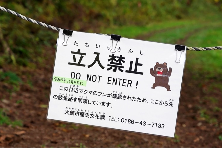 Image: JAPAN-BEAR-ENVIRONMENT-CLIMATE-DEMOGRAPHICS