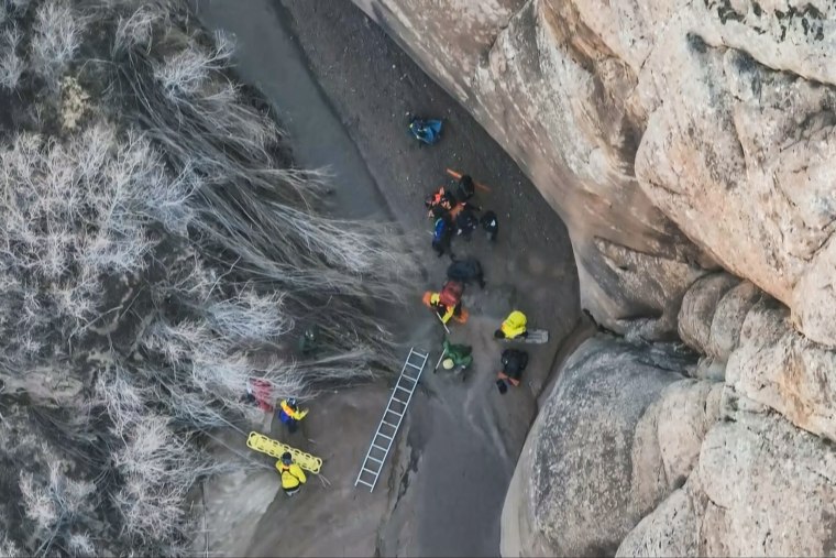 Rescuers used a ladder and vehicle traction boards to reach the hiker stuck in quicksand.