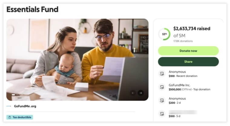 A screenshot of a GoFundMe essentials fund page