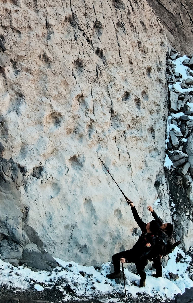 Thousands of dinosaur tracks discovered in Stelvio National Park