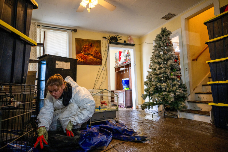 Image: Western Washington Braces For Another Atmospheric River, Bringing Flooding And Landslide Risks Back To Region