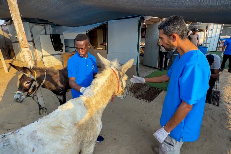 Gaza é o único santuário animal.