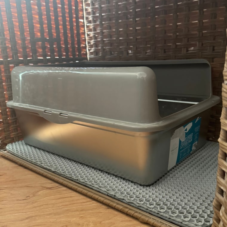 Stainless steel litter box on light grey mat