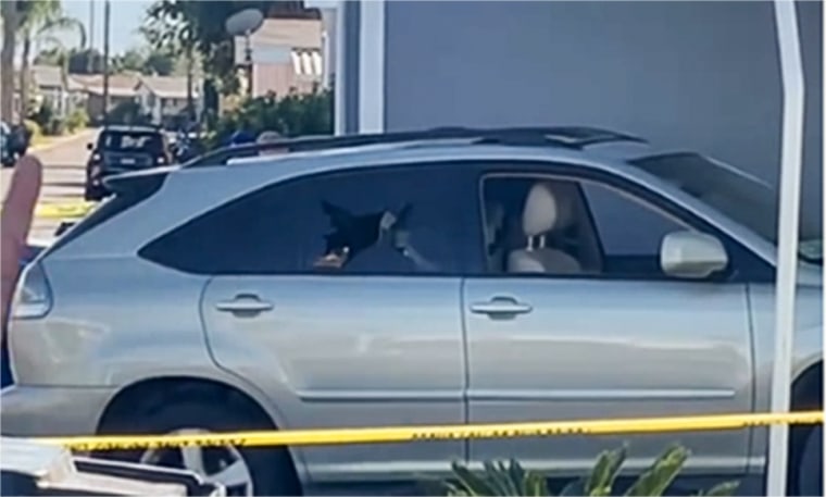 The vehicle of Carlos Jimenez after the shooting.