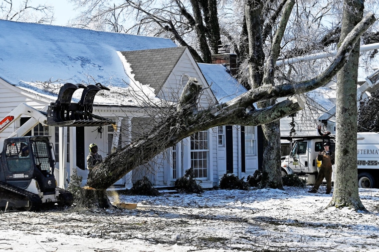 Zaylen McElroy, left, and Ty Swanson of Aftermath Tree Service cut down a tree in a yard 