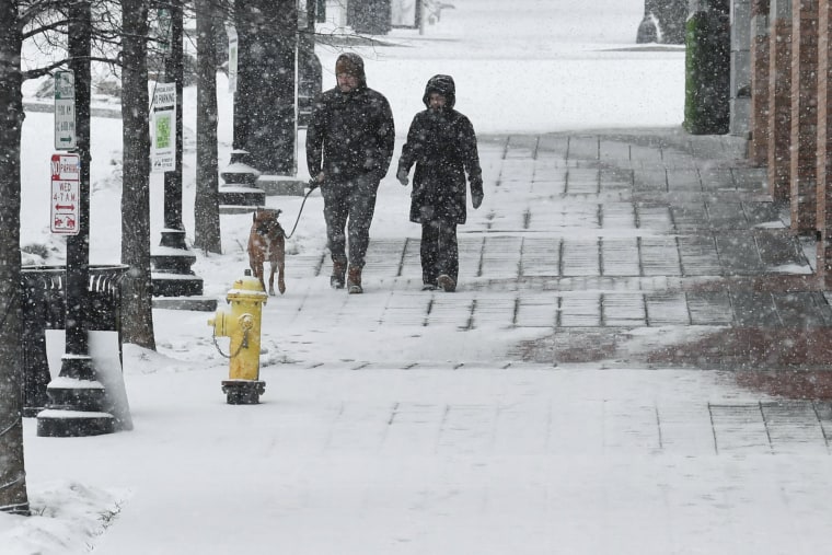 People walk through the snow with a dog outside
