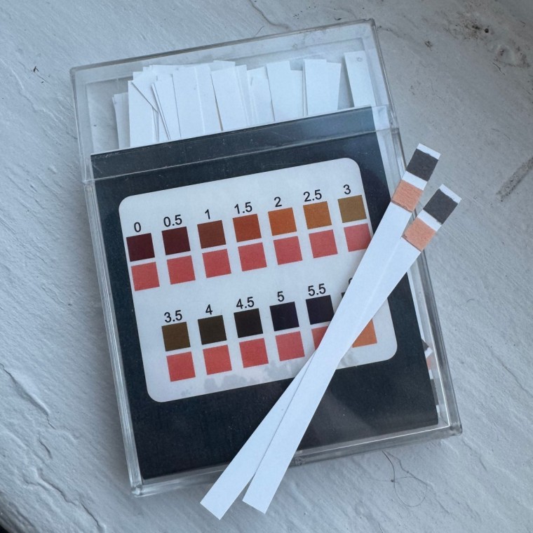 Photo of Fermentaholics test strips on a white windowsill.