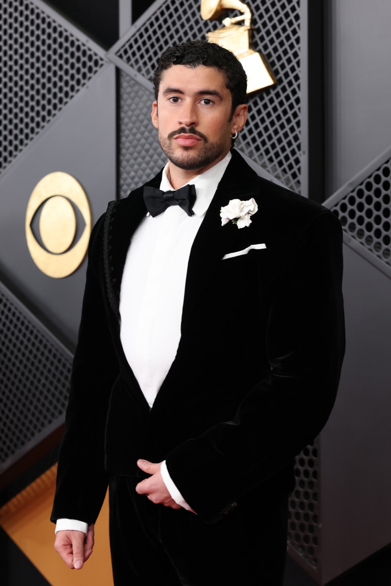 68º Grammy Awards - Chegadas