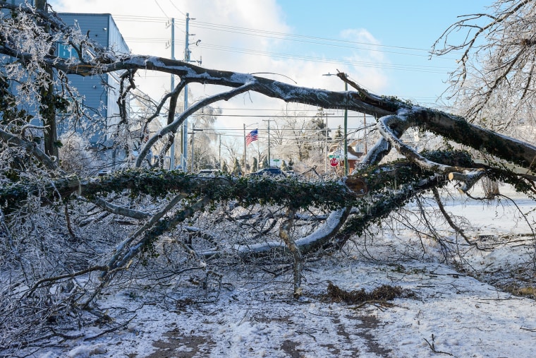 Post-Storm Freeze To Test US Power Grids As Demand Surges