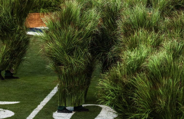 Image: Performers dressed as bushes step on stage for Puerto Rican singer Bad Bunny performance