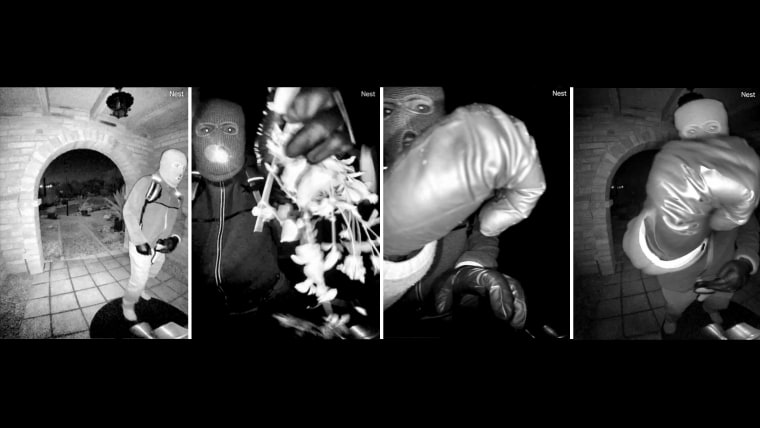 security footage from nancy guthries nest cam