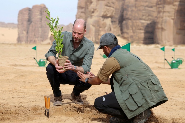 Future kings meet in Saudi Arabia but Andrew-Epstein revelations loom over Prince William