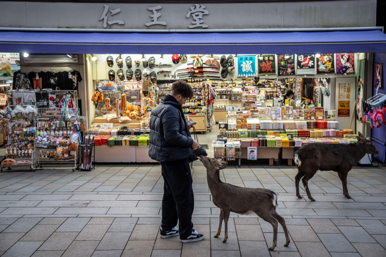 Image: A tourist feeds a deer outside a store