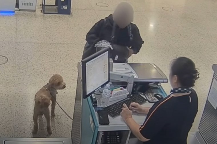 A woman stands at a help desk in an airport with a dog