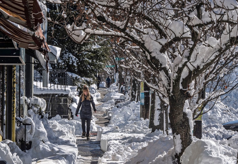 A pedestrian walks under snow-covered trees in Irvington, N.Y., on Feb. 24, 2026.