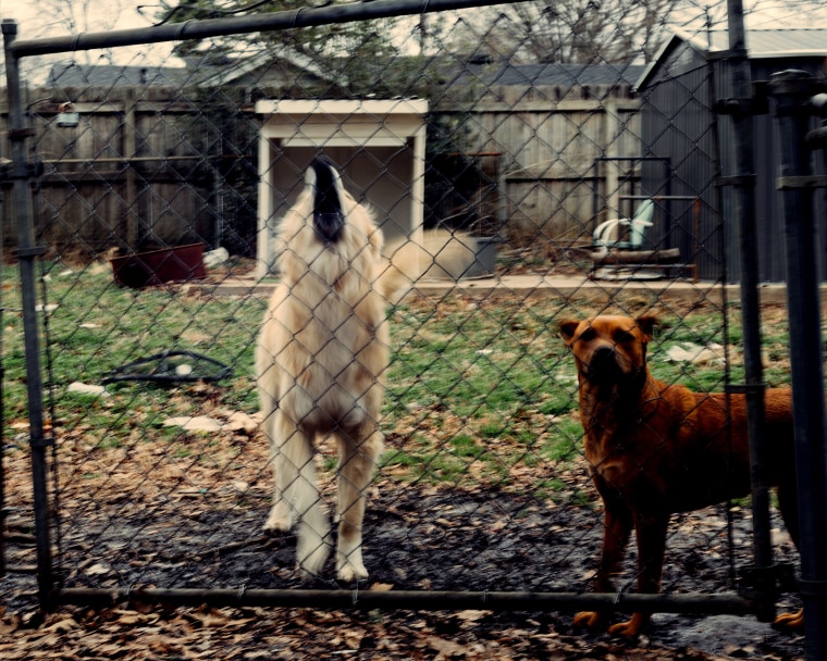 The new xAi plant in Southaven, Miss.