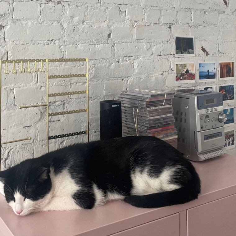 A black and white cat sitting on a pink cabinet beside a CD player and gold jewelry stand.
