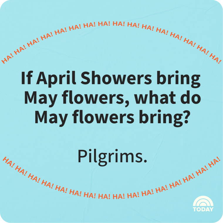 Spring Jokes