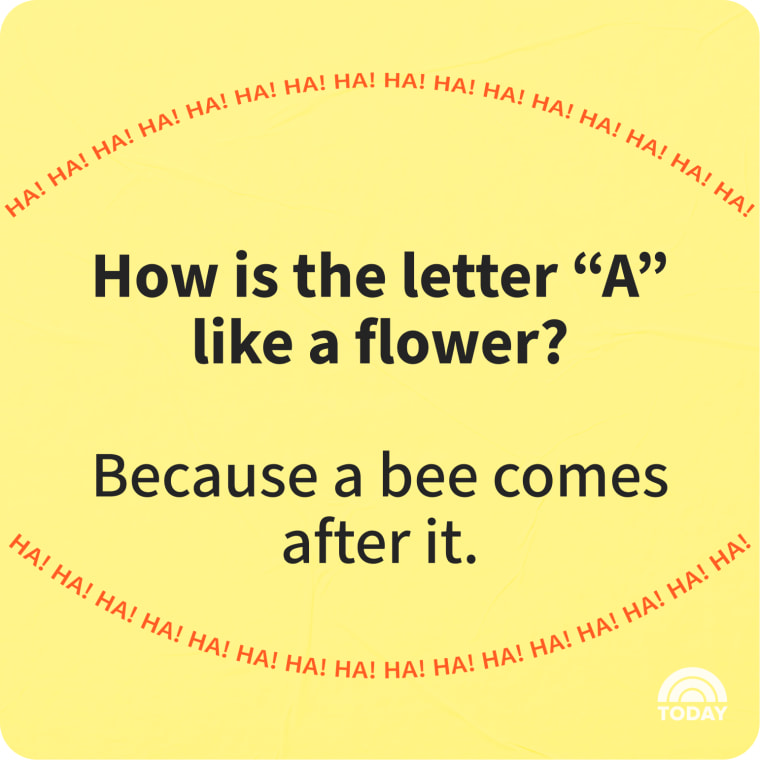 50 Funny Spring Jokes for Kids and Adults