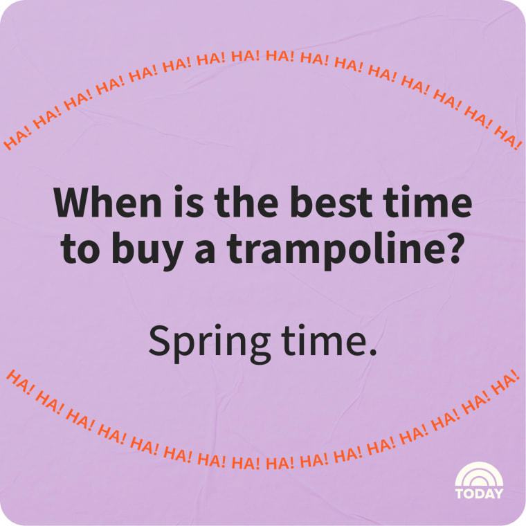 Spring Jokes