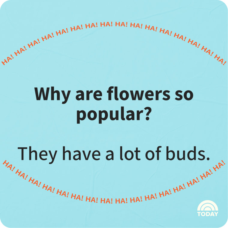 Spring Jokes