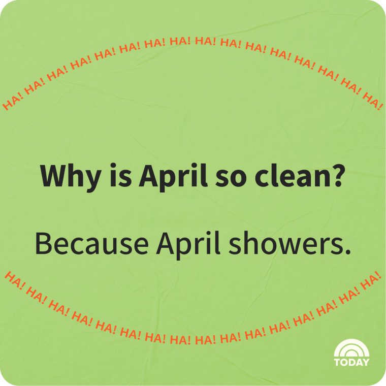 Spring Jokes