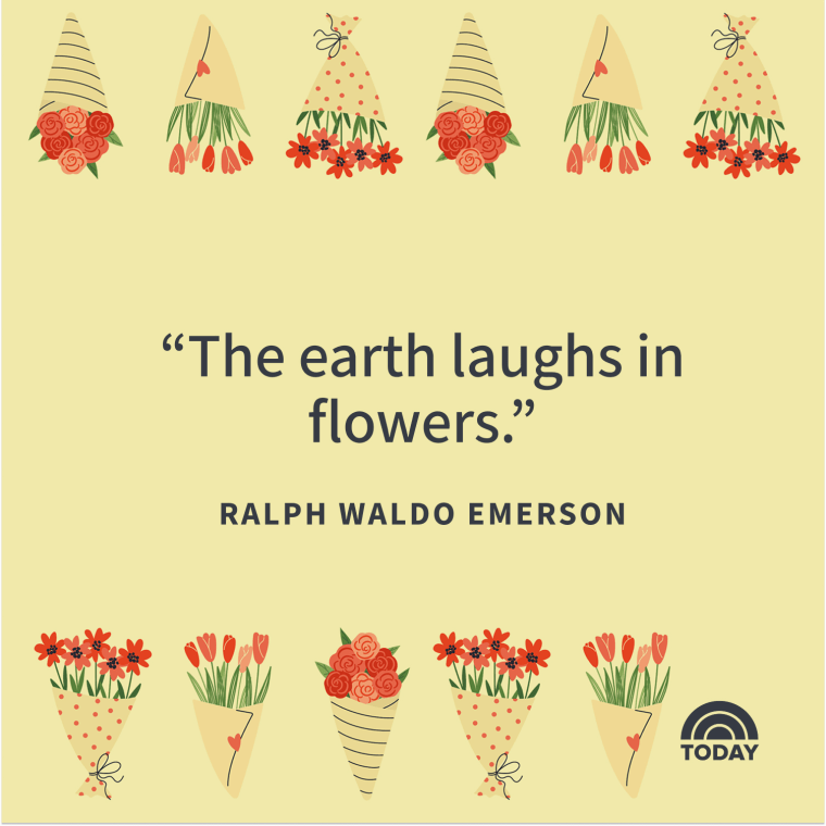 65 Spring Quotes on Sunshine, Flowers and Warm Weather