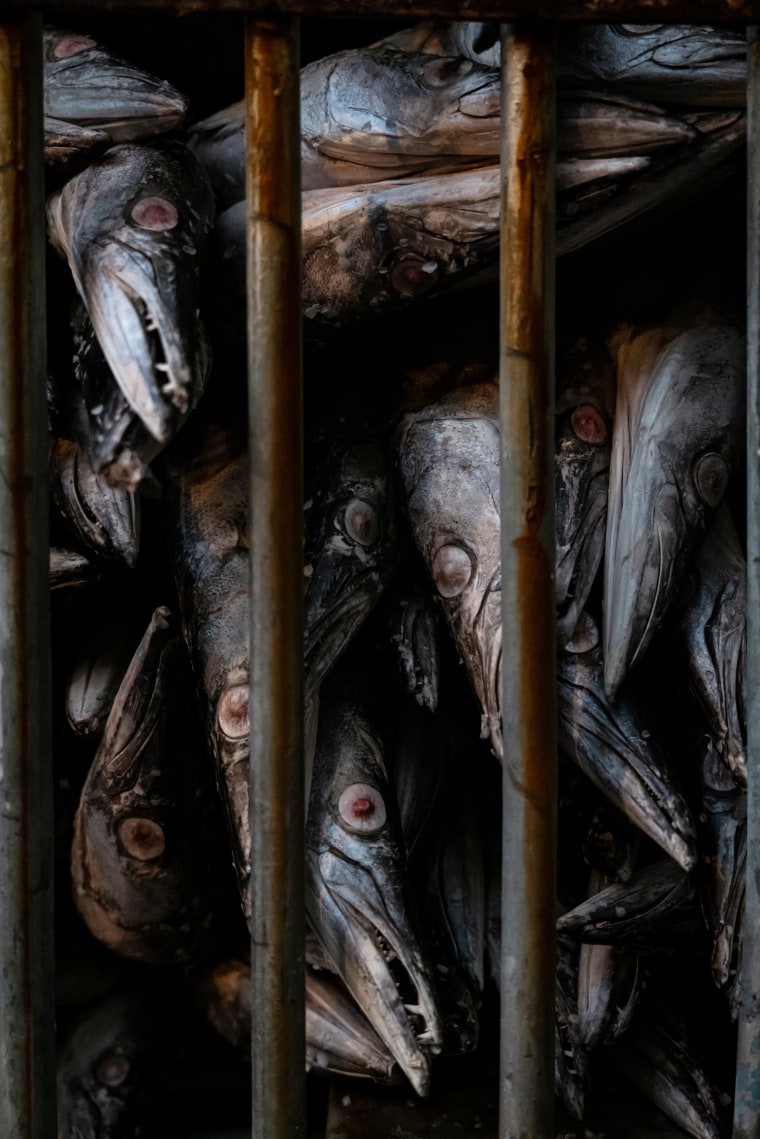 Overfishing in SE Asia