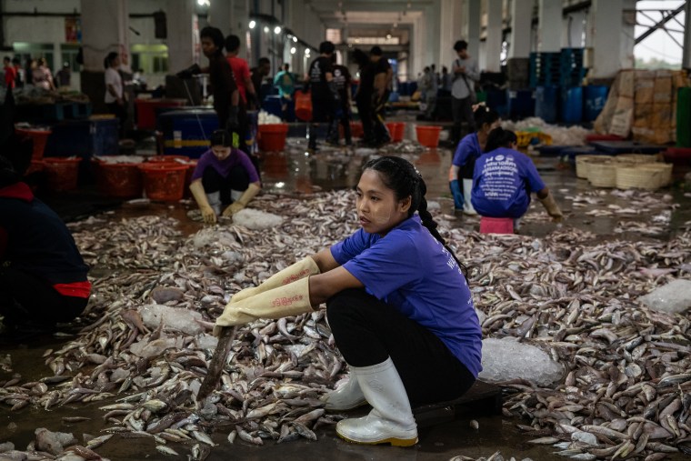 Overfishing in SE Asia