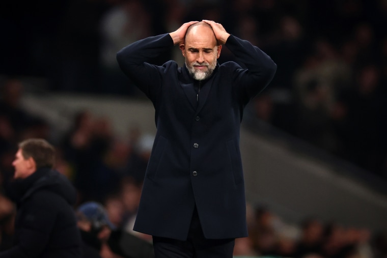 Tottenham Hotspur v Crystal Palace - Premier League