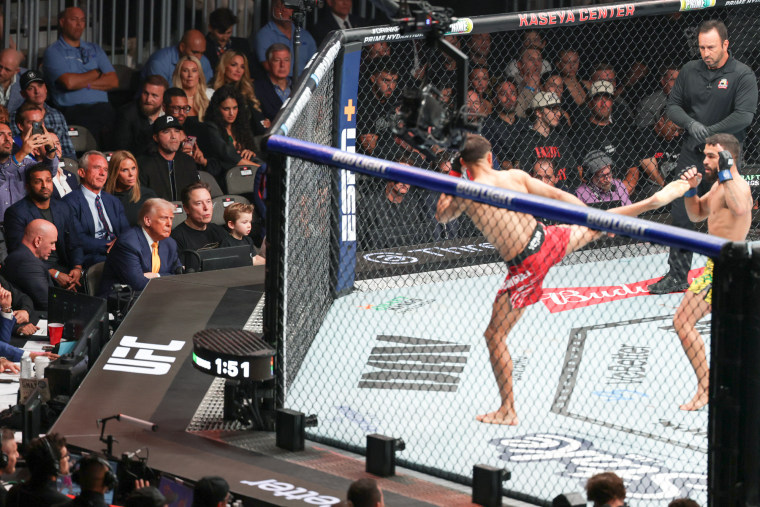 People watch a UFC fight