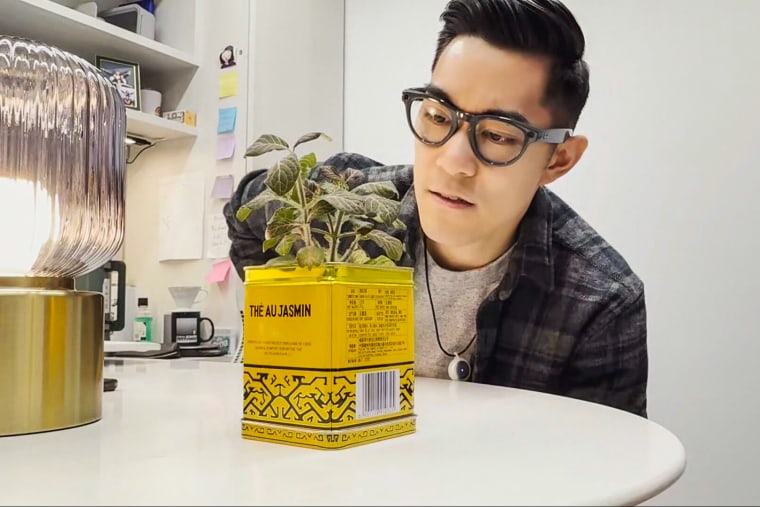 I used my Meta glasses to identify a plant in my office. The glasses were wrong.