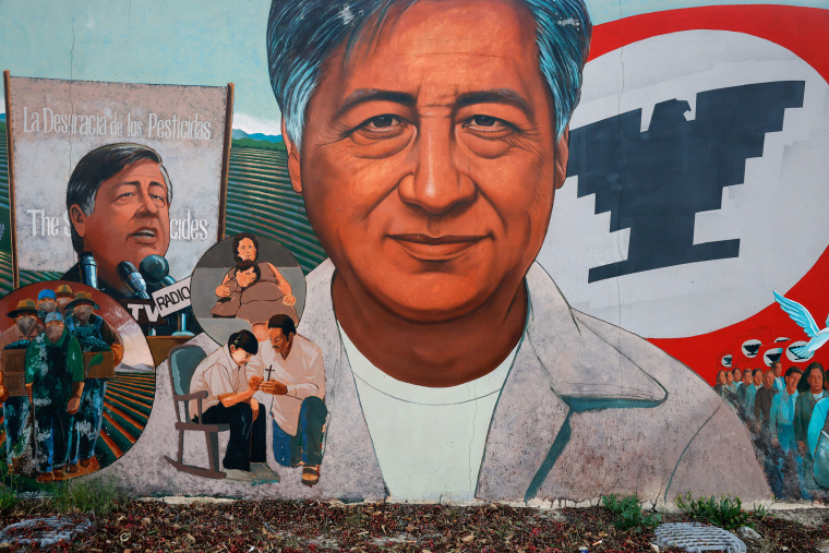 A mural of labor leader and civil rights activist Cesar Chavez is displayed at the Cesar E. Chavez Memorial Park.