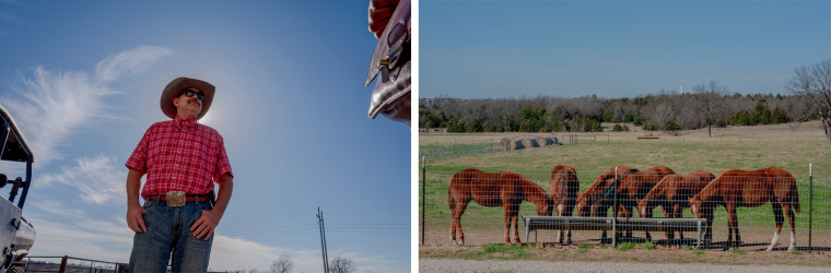 A split composite of Rick Plumber and his horses.