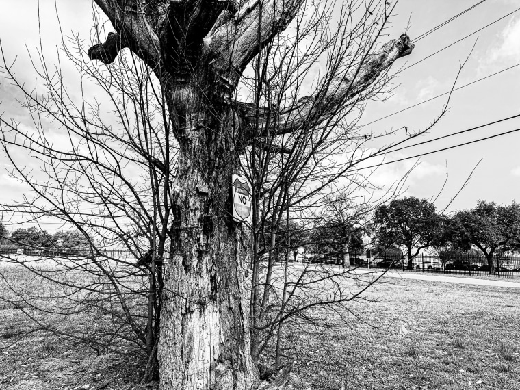 A black and white photo shows a tree without leaves in the foreground. On the tree is pinned a sign that says: “No Trespassing”. A grassy field is situated behind the tree, as well as some telephone wires in the air.