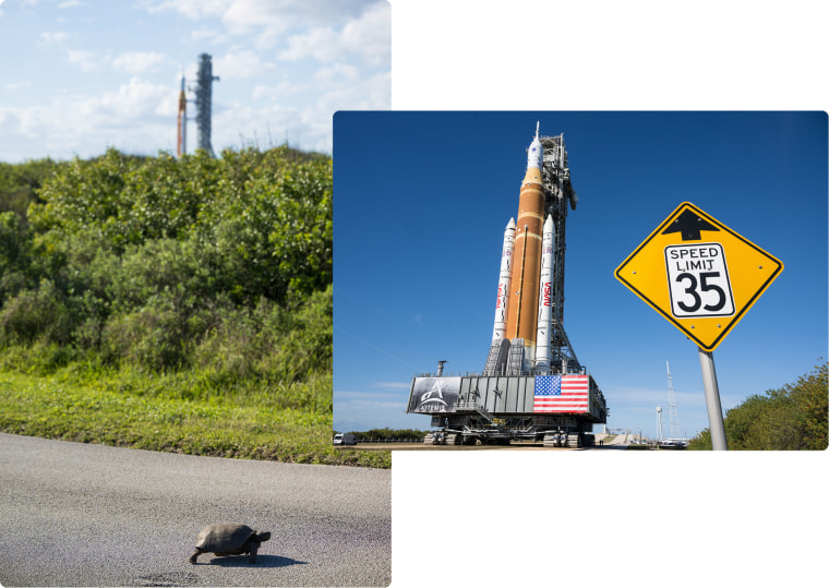 Left: A turtle crosses the road near NASA’s Kennedy Space Center in Florida on Jan. 17. Right: The Space Launch System rocket and Orion capsule on their way to the launchpad.