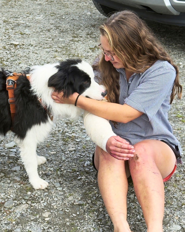 Διάσωση σκύλων Νέας Ζηλανδίας