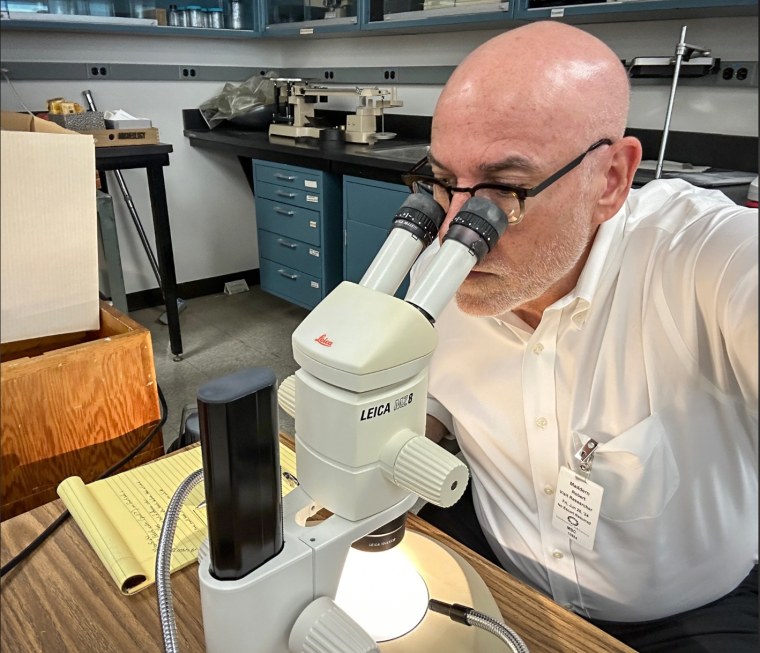 Robert Madden looks at Late Pleistocene dice at the Smithsonian.