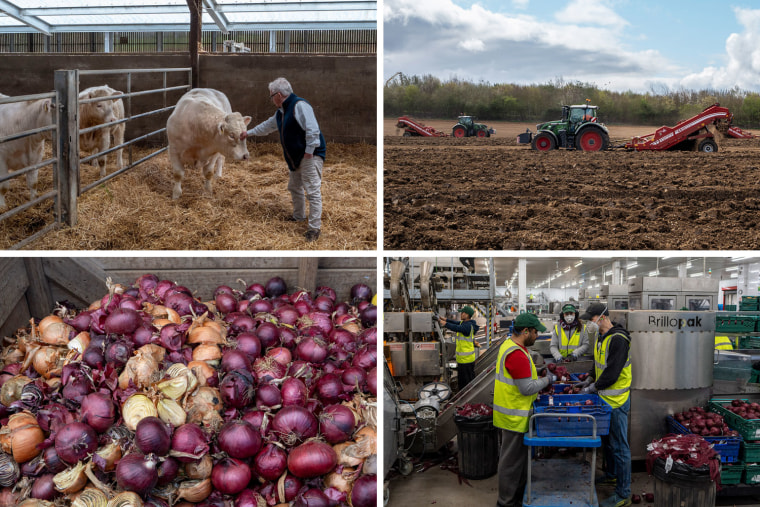 Clockwise from top left: John Rix; machinery on Rix Farms; onion packaging at Stourgarden.
